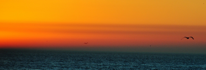sunset over the Pacific